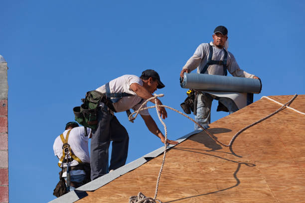 Best Metal Roofing Contractor  in River Hills, WI