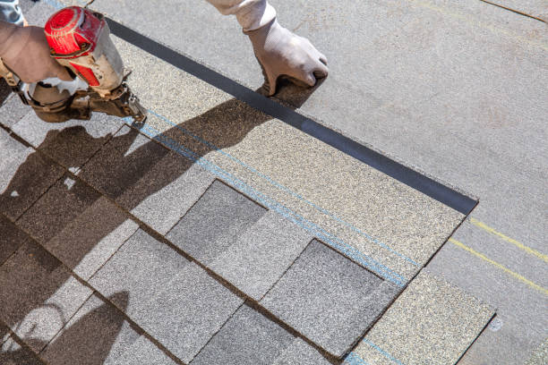 Best Roof Gutter Cleaning  in River Hills, WI